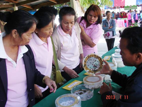 ศูนย์ชีวินทรีย์ภาคตะวันออกเฉียงเหนือตอนล่าง คณะเกษตรศาสตร์ มหาวิทยาลัยอุบลราชธานี ออกร้านร่วมจัดนิทรรศการ ณ วิทยาลัยเกษตรและเทคโนโลยีอุบลราชธานี (หนองขอน), 11 มกราคม 2556