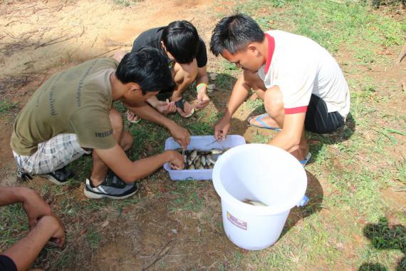 การสำรวจความหลากหลายทางชีวภาพของปลา ร่วมกับเขตรักษาพันธู์สัตว์ป่าพนมดงรัก อำเภอขุนหาญ จังหวัดศรีสะเกษ 6-8 เมษายน 2560