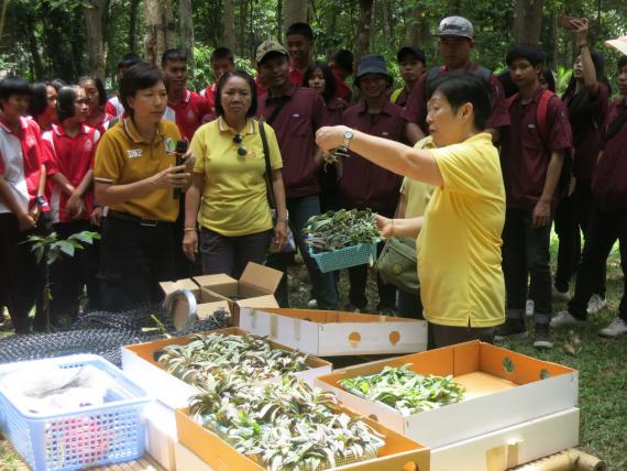 นักศึกษาวิชาวิทยาการกล้วยไม้เข้าร่วมกิจกรรมค่ายอนุรักษ์กล้วยไม้พื้นเมือง ณ สวนพฤกษศาสตร์ดงฟ้าห่วน วันที่ 13 กรกฎาคม 2562