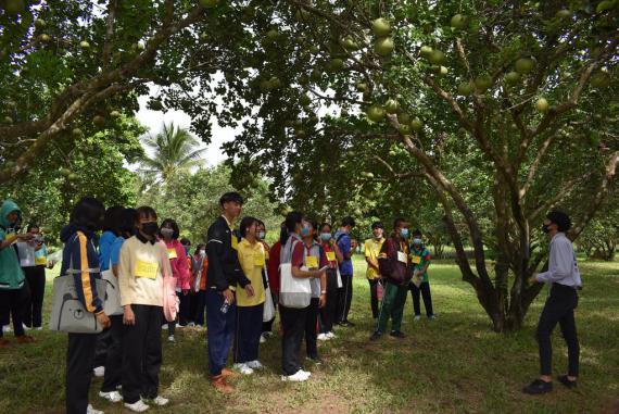 น้อง ๆ ชั้นมัธยมศึกษาปีที่ 4-6 ในโครงการ Farm & Food Camp เข้าศึกษาดูงานไม้ผล ณ สำนักงานไร่ฝึกทดลอง คณะเกษตรศาสตร์ มหาวิทยาลัยอุบลราชธานี, 24 สิงหาคม 2563