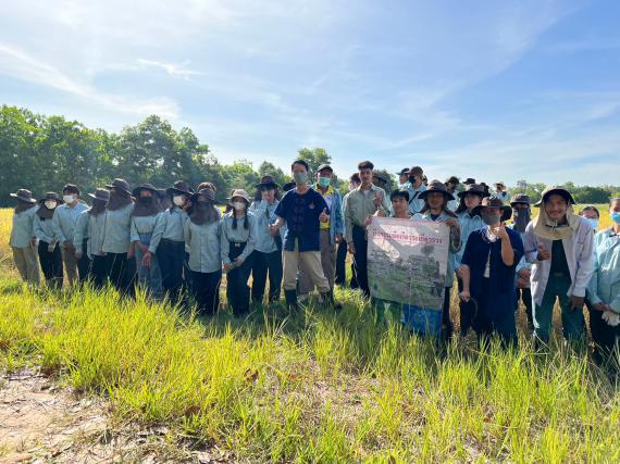 โครงการมือเรียวรอเกี่ยวรวง ระยะที่ 2 (ระยะเก็บเกี่ยว) ณ แปลงฝึกทดลอง คณะเกษตรศาสตร์ มหาวิทยาลัยอุบลราชธานี นำโดย ดร.นรินทร บุญพราหมณ์ คณบดีคณะเกษตรศาสตร์ พร้อมด้วยบุคลากรและนักศึกษาร่วมกิจกรรมในครั้งนี้, 19 พฤศจิกายน 2565